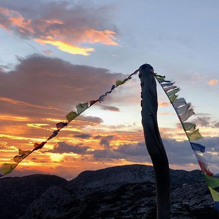 Lodge Am Krippenstein Obertraun Exteriör bild