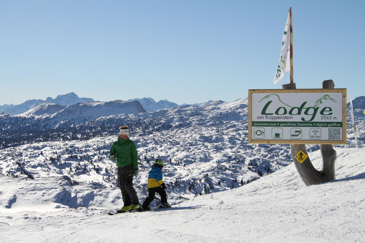 Lodge Am Krippenstein Obertraun Exteriör bild