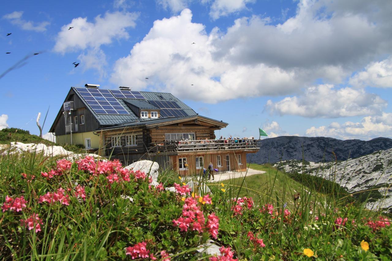 Lodge Am Krippenstein Obertraun Exteriör bild